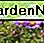 New England Aster New England Aster