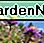 New England Aster New England Aster