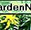 Goldenrod Goldenrod