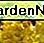 Guldenroede en bijen Goldenrod and bees