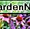 Paarse zonnehoed Purple Coneflower