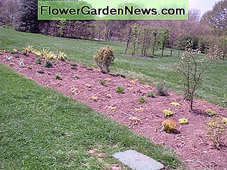 Ein neu gepflanzt mehrjähriger Garten in Rutgers Gardens A newly planted perennial garden at Rutgers Gardens