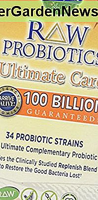 Garten des Lebens - Roh Probiotics Ultimate Care, 100 Milliarden, 30 vegetarische Kapseln