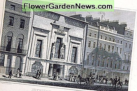 Ägyptische Halle Piccadilly Egyptian Hall Piccadilly