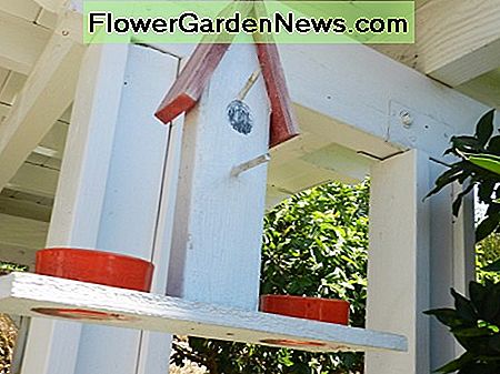 Geschirr für Traubengelee. Feeder aus Altholz. Dishes for grape jelly. Feeder made from scrap wood.