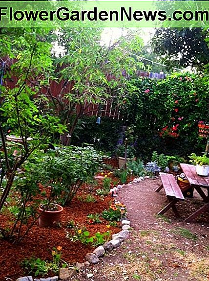 Gebogene Ränder wirken entspannter und natürlicher. Sie laden einen Gartengast ein, sich zu schlängeln und zu erforschen. Curved borders have a more relaxed and natural feel. They invite a garden guest to meander and explore.