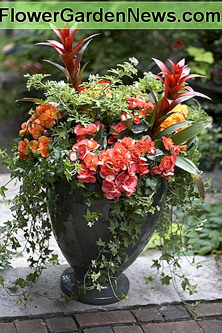 Entfalten Sie Ihre Kreativität mit einfachen Containergärten mit dem beliebten Konzept der Unleash your creativity with easy container gardens using the popular concept of the