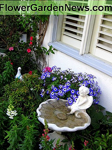 Dieses nach Osten gerichtete Bett ist voll von teilweise Sonnenpflanzen und verfügt über ein Spalier von Vogelhäusern und ein Cherub-Geburtsbad. This East facing bed is full of partial sun plants and features a trellis of birdhouses and a cherub birthbath.