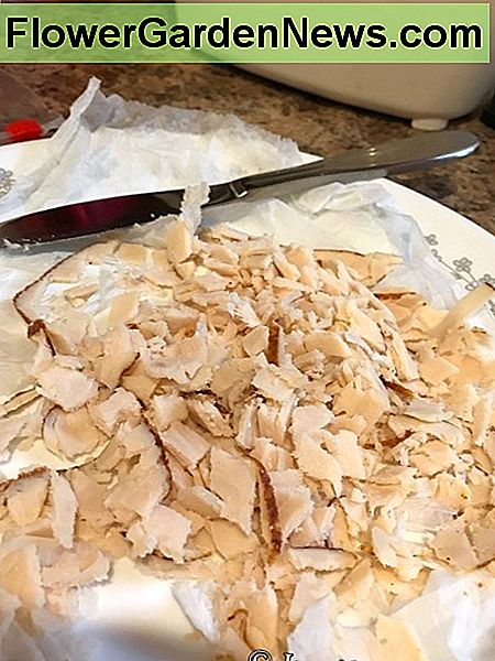 Eerst snij ik het vervallen kippenlunchvlees in kleine stukjes, die gemakkelijker in het composteersysteem breken. First I cut up the expired chicken lunch meat into small pieces, which will more easily break up inside the composting system.