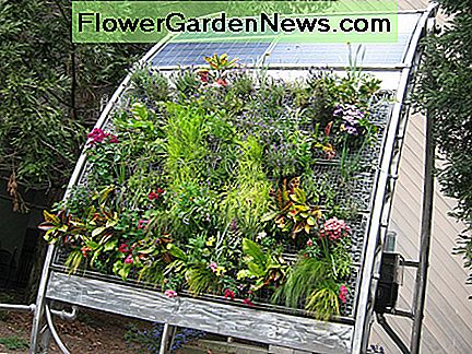 Grădină verticală hidroponică frumoasă. Descărcarea fotografiilor de către http://www.flickr.com/photos/irisdragon/2339219124/ sub Creative Commons Attribution License Beautiful Hydroponic Solar Vertical Garden. Photo courtesy of http://www.flickr.com/photos/irisdragon/2339219124/ under Creative Commons Attribution License