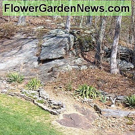 Steingarten und Ledge Rock Garden and Ledge