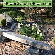 Steingarten-Design: Natursteinbank Rock Garden Design: Natural Stone Bench