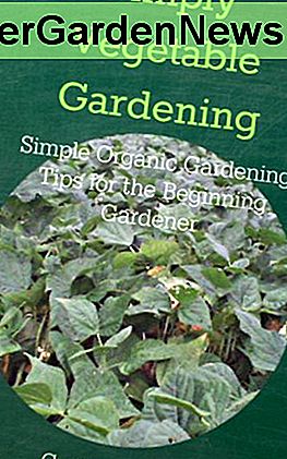 Einfach Gemüse Gartenarbeit: Einfache Bio-Gartenarbeit Tipps für den Anfang Gärtner