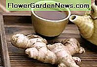 Te de gengibre Ginger tea