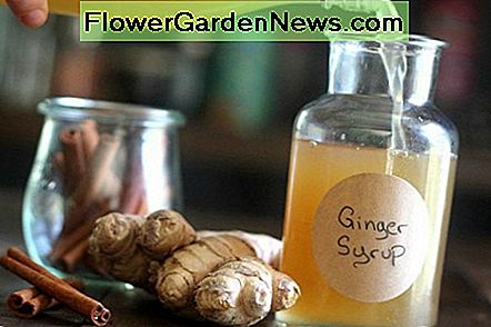 Jarabe de jengibre Ginger syrup