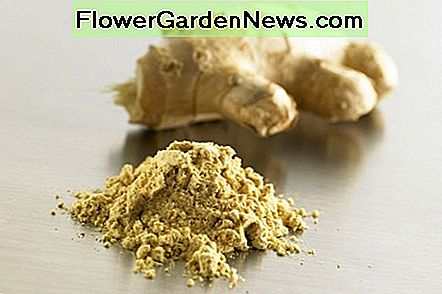 Jengibre en polvo, ideal para té, cocina y mucho más Powdered ginger, great for tea, cooking and so much more