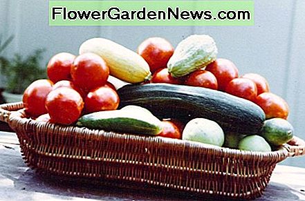 Een Mirliton en andere groenten A Mirliton and other vegetables