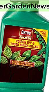 Ortho Brush-b-gon Poison Ivy Poison Oak, & Brush Killer