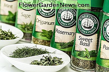 Kräuter-Gartenarbeit im Frühjahr ist eine gute Möglichkeit, Geld zu sparen und Ihre eigenen Gewürze zu produzieren. Herb gardening in the spring is a great way to save money and produce your own spices.
