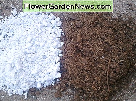 Perlit, Torf und Torfmoos können zur Bodenverbesserung verwendet werden. Perlite, peat, and sphagnum moss can be used to amend soil.