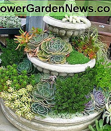 Ein Tiered Pflanzer wie dieser ist ideal für eine zentrale Anzeige auf einem Balkon oder Deck, wo die Gäste oah und aah auf Ihr Talent für Gartenarbeit. A tiered planter like this one is ideal for a central display on a balcony or deck, where guests can ooh and aah at your talent for gardening.