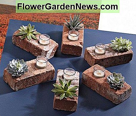Ziegel Pflanzer mit Kerzen. Eine interessante Idee für ein Indoor-Gäste-Display, obwohl diese ziemlich schnell umgetopft werden müssen. Brick planters with candles. An interesting idea for an indoor guest display, though these will need to be repotted fairly quickly.