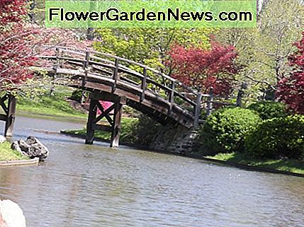 En bro i en japansk have. En anden måde at fremvise vand er med smukke damme. Klik på billedet for at se det større. A bridge in a Japanese Garden. One other way to showcase water is with beautiful ponds. Click on image to see it larger.