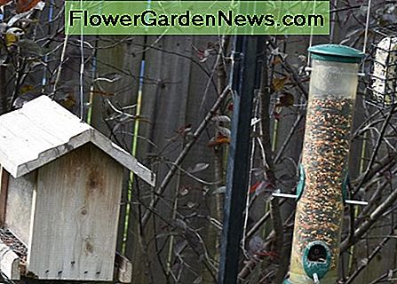 Drei Speiser (von links nach rechts): Trichter, Rohr und Talghalter. Three feeders (left to right): hopper, tube and suet holder.
