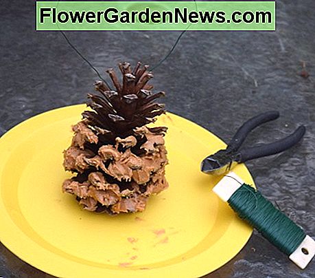 Einfache Kieferkegelzufuhr unter Verwendung der Erdnussbutter. Florist's Paddeldraht und Drahtschneider sind auf der rechten Seite. Simple pine cone feeder using peanut butter. Florist's paddle wire and wire cutters are on the right.
