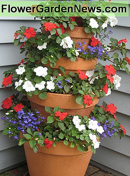 Ett torn till skuggan: Röd och vit Impatiens med blå Lobelia. A tower made for the shade: Red and white Impatiens with blue Lobelia.