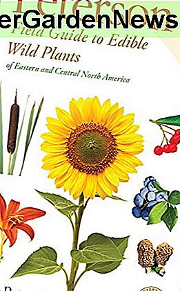 Eetbare wilde planten: Oost- / Midden-Noord-Amerika (Peterson-veldgidsen)