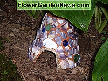 Ein Krötenhaus lugt unter dem Schatten eines Hostablattes hervor. A toad house peeks out from under the shade of a hosta leaf.