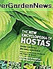 Die neue Enzyklopädie von Hostas