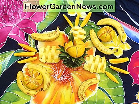 Wo auch immer wir in Costa Rica waren, unsere Guides würden wunderbare frische Fruchtsnacks für uns vorbereiten. Sie enthalten immer Ananas! Wherever we went in Costa Rica, our guides would prepare wonderful fresh fruit snacks for us. They always included pineapple!