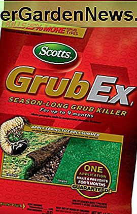 Scotts GrubEx, 5 000 de metri pătrați (Grub Killer & Preventer) Net Wt. 14.35 lb (nu este vândut în HI, NY)
