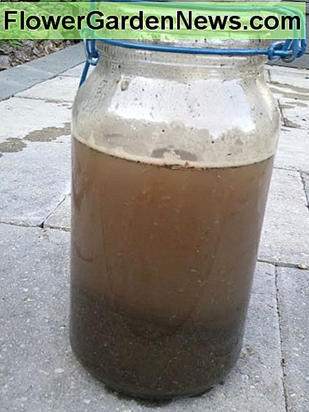 Tester les types de sédiments du sol en utilisant de l'eau, du sol et un pot. Testing soil sediment types by using water, soil, and a jar.