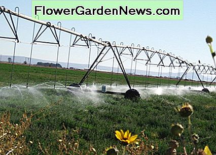 Die wassereffizientesten Pivot-Systeme sind in Bodennähe, wo Wasser direkt auf die Pflanzen gesprüht wird und nicht höher, wo es im Wind abperlen kann. The most water efficient pivot systems are close to the ground, where water is sprayed directly on plants, rather than up higher, where it can blow off in the wind.