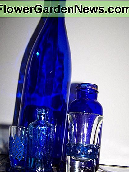 Kleine en grote flessen Small and Large Bottles