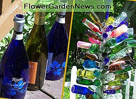 Mijn flessenboom. Deze drie worden binnenkort toegevoegd. My bottle tree. These three will be added soon.