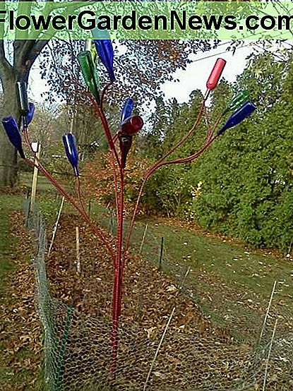 Tunt's Bottle Tree Aunt's Bottle Tree