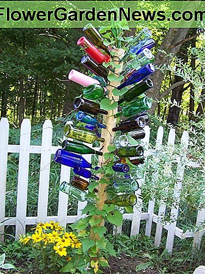 Garden Bottle Tree Garden Bottle Tree