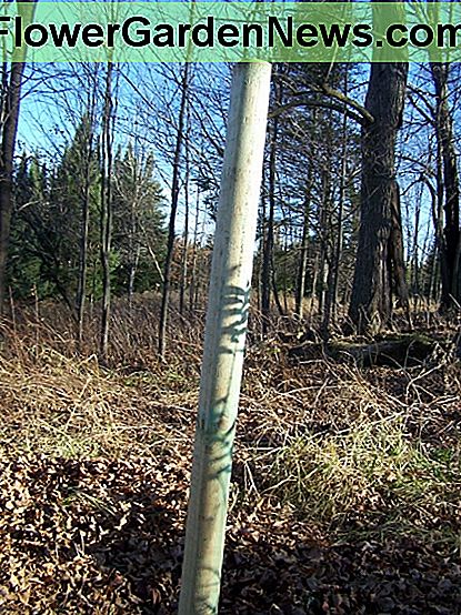 Stappen 1 en 2: Graaf een gat en plaats je post erin. Je kunt vuil of beton gebruiken om het ruim achter de paal in te vullen. Steps 1 and 2: Dig a hole, and place your post inside. You can either use dirt or concrete to fill the hold back in around the post.