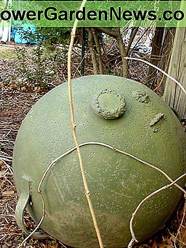 Dies ist ein alter Kanalmarker. This is an old channel marker.