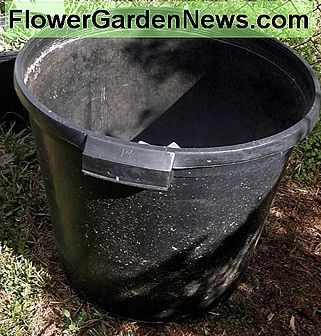 Legen Sie etwa sechs Zentimeter Blumenerde auf den Boden und stecken Sie Ihre Pflanzkartoffeln in den Boden. In diesem großen Container können Sie ungefähr drei Kartoffeln pflanzen. Put about six inches of potting soil on the bottom and stick your seed potatoes in the soil. In this sized container, you can plant about three potatoes.