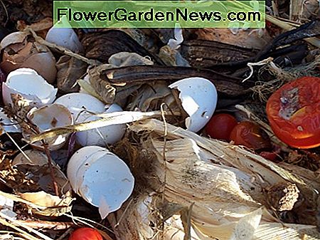 บางรายการสำหรับทำปุ๋ยหมัก Some items for composting