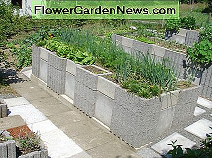 Ein herausragendes Reliefdesign, das Knie und Rücken nicht belastet. An outstanding raised garden design that doesn't stress knees and back.