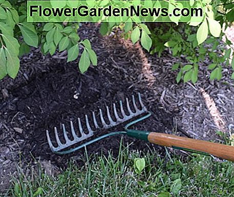 Nieuwe mulch effenen met de achterkant van een hark. Smoothing new mulch with the back of a rake.