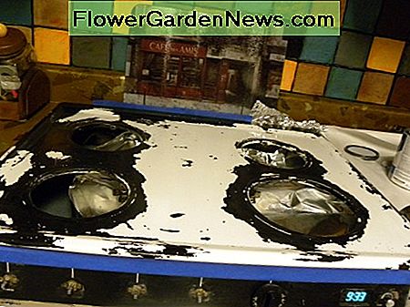 Kocherunfall: Schwarze Farbe wurde mit Ofenreinigerspray entfernt. Stovetop disaster: Black paint was removed by oven cleaner spray.