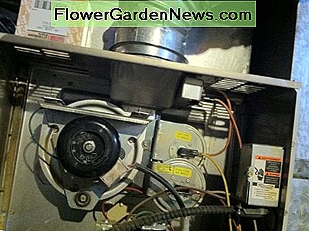 Inducer-ventilator / motor (linksonder) Drukschakelaar (rechts van inducer) en schoorsteenaansluiting / inducerbehuizing (midden bovenaan) Inducer Fan/Motor (bottom left) Pressure Switch (right of inducer) and Chimney Connection/Inducer Housing (top center)