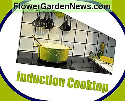 Induktionskochfeld induction cooktop